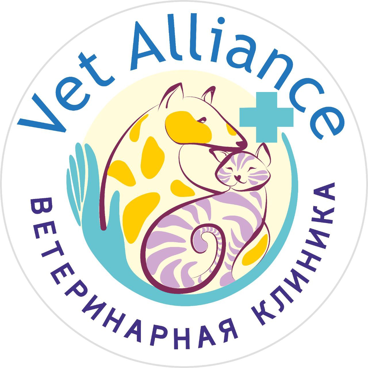 "Vet Alliance"