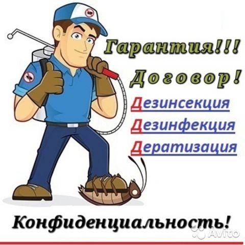 КировДез 43
