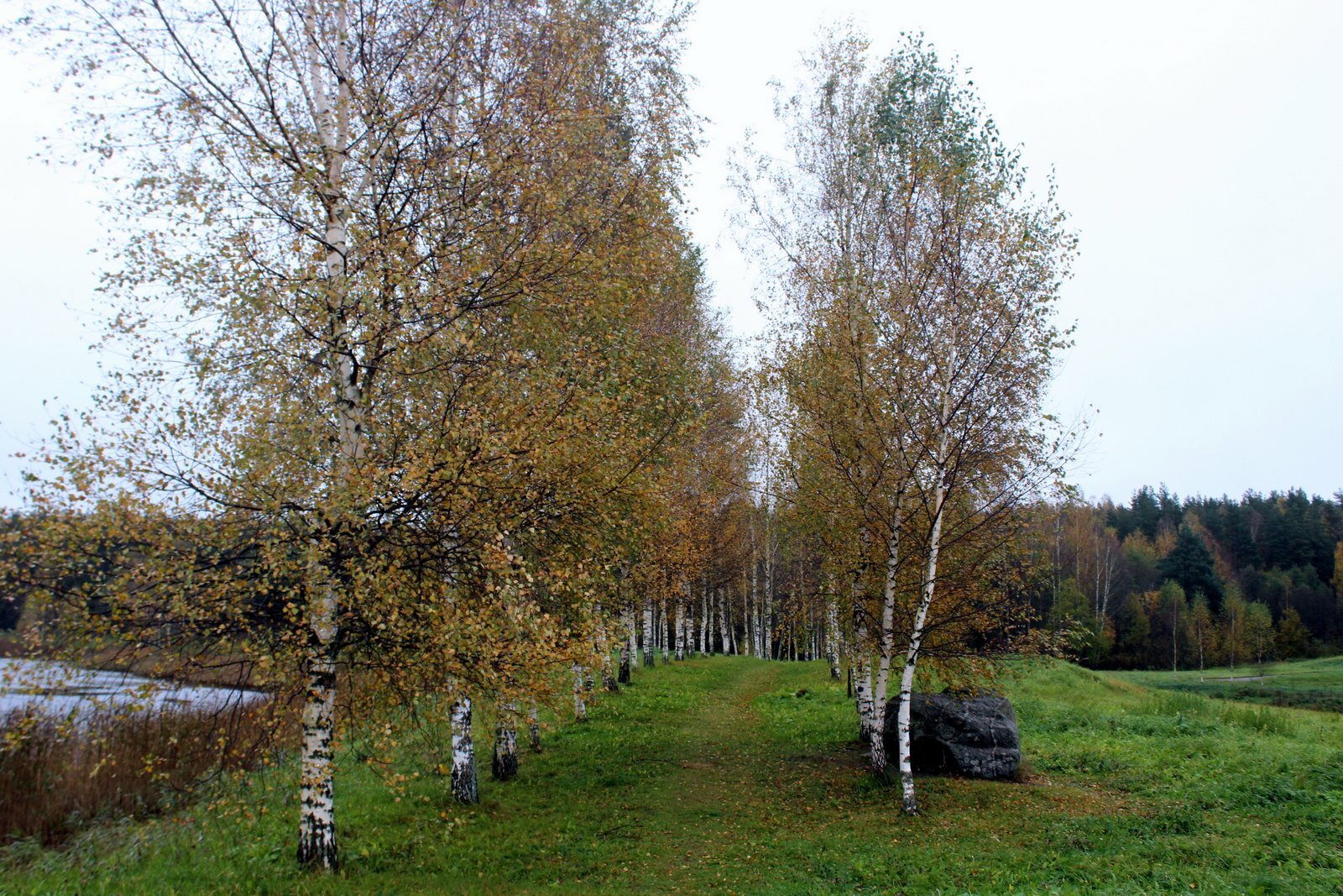 Прогноз пушгоры