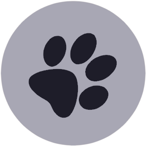 website icon