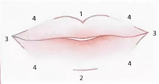 Как правильно нарисовать контур губ