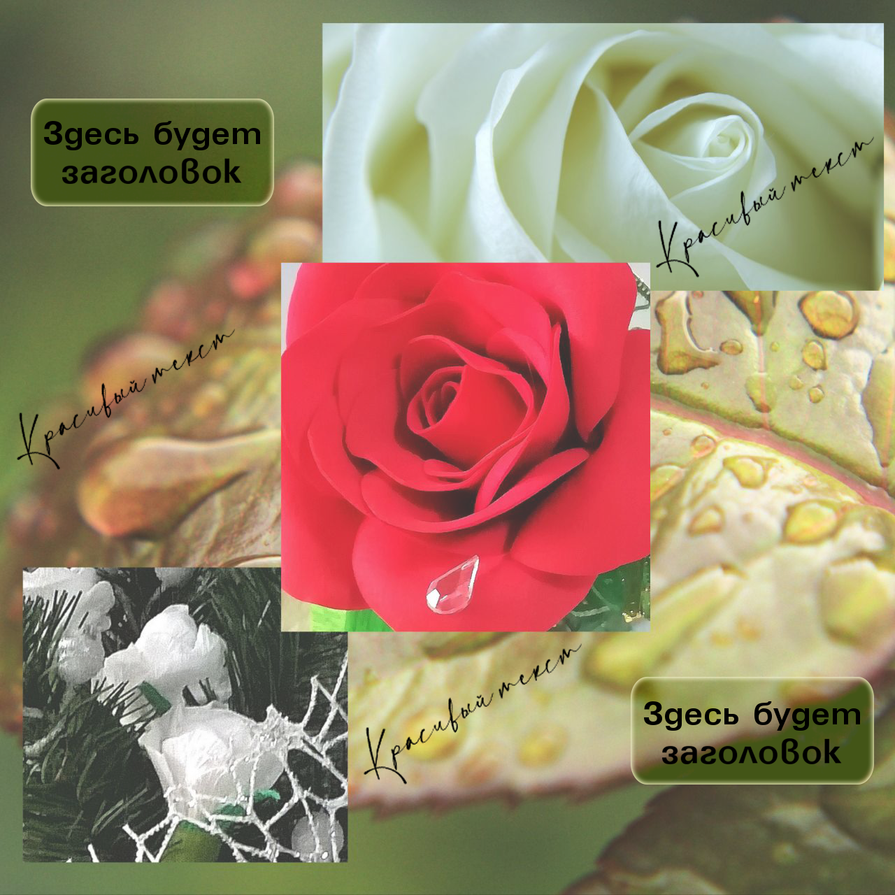 лента цветы сайт