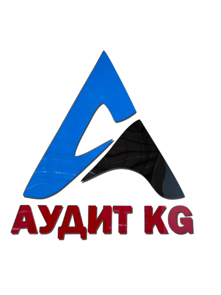 AUDIT KG