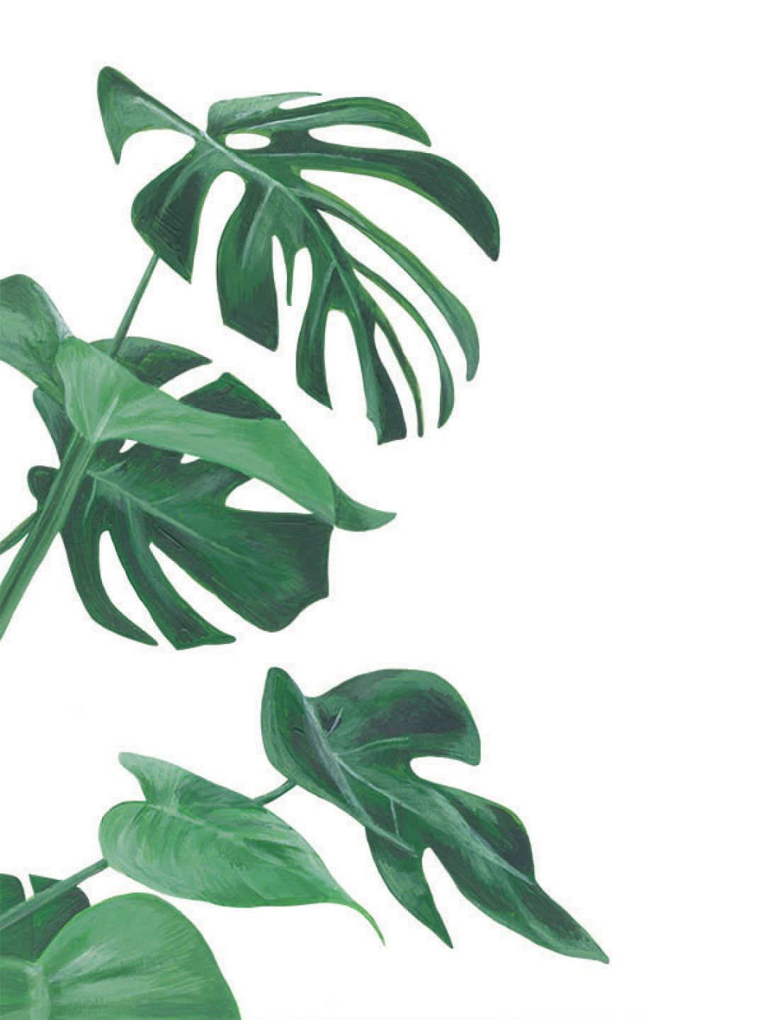 биохимия крови, печеночные показатели, ферритин