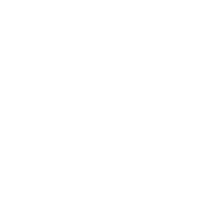 website icon