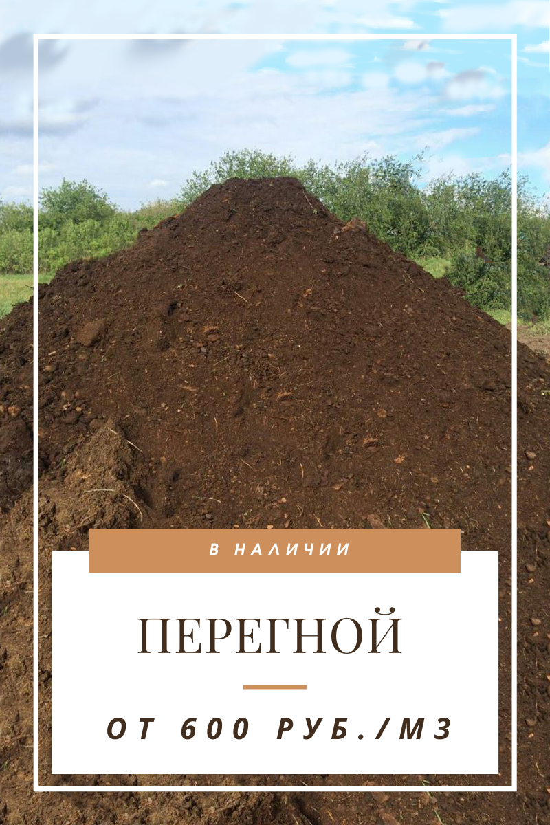 Перегной 5 букв. Перегной. Перегной и компост. Перегной 4 летний. Настоящий перегной.