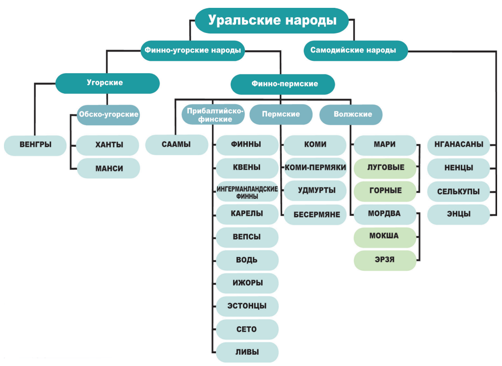 Уральская языковая семья какие народы. Финно-угорская группа народов.