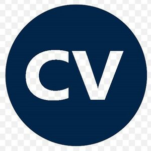 website icon