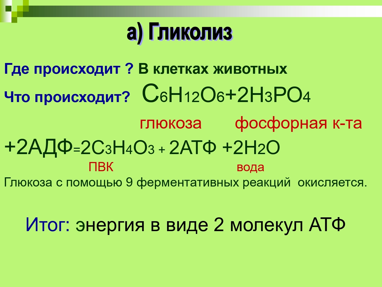 Где происходит