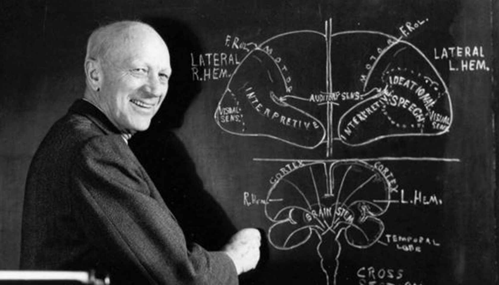 Гомункулус - Нейропсихологический тест Гомункулус - психолог Татьяна ...