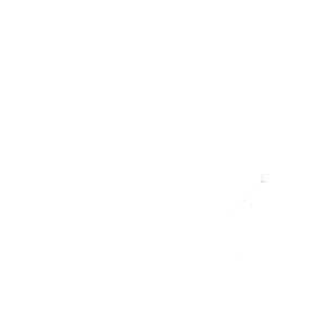 website icon