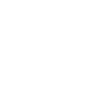 website icon