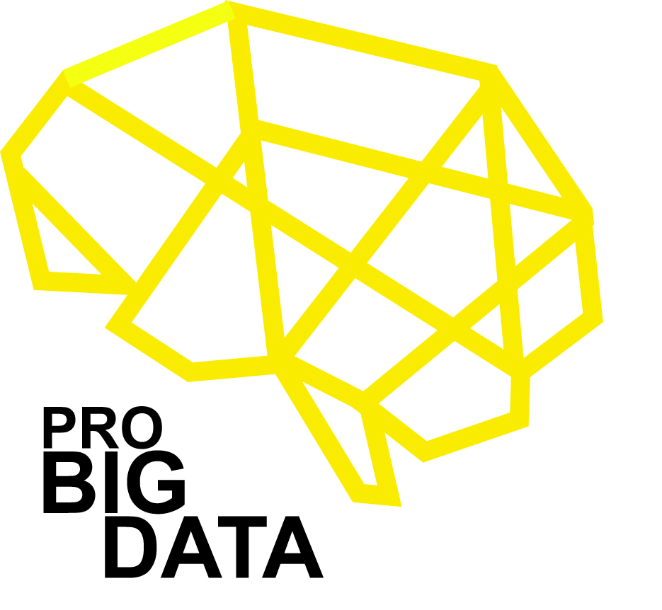 PRO-BIG-DATA