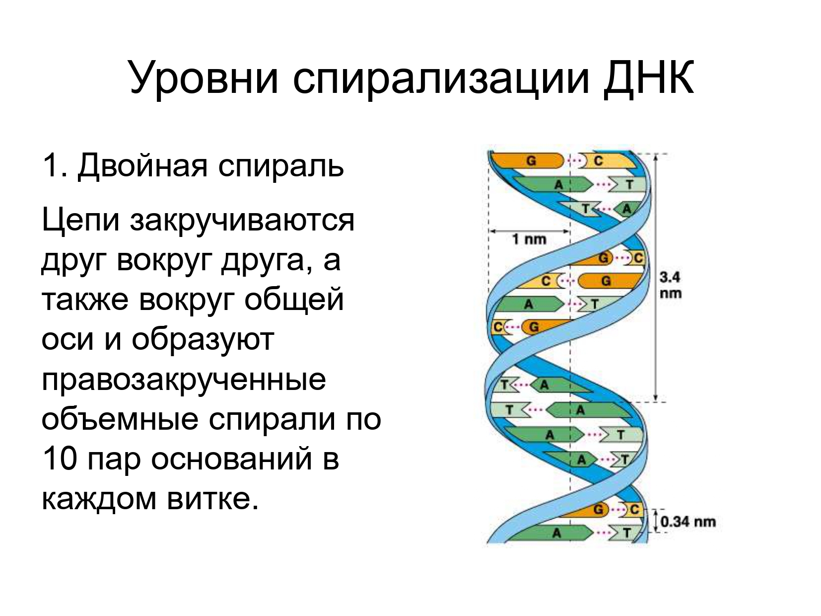 Уровни днк