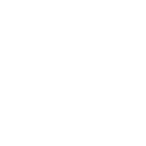website icon