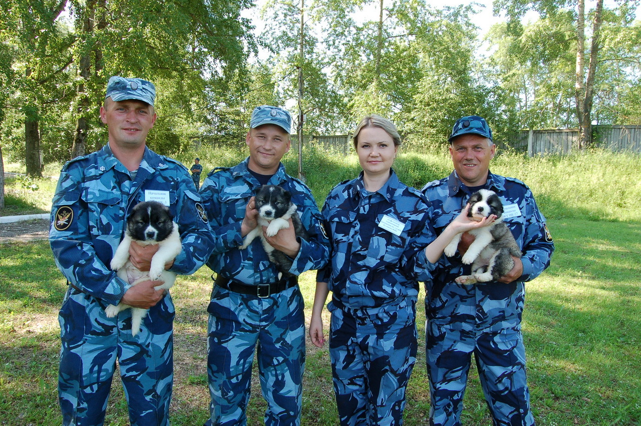 Колледжи в Питере на кинолога.