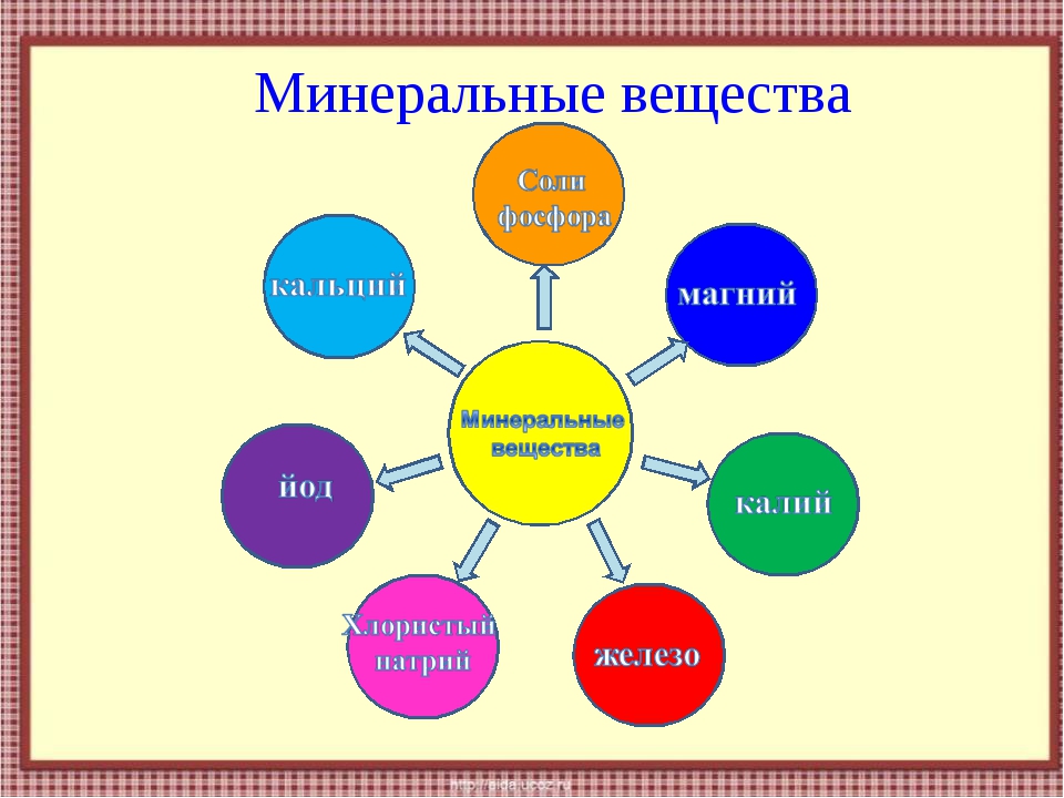 Минеральные вещества состоят. Минеральные вещества бывают. Минеральные вещества схема. Какие бывают Минеральные вещества. Состав Минеральных веществ организма.