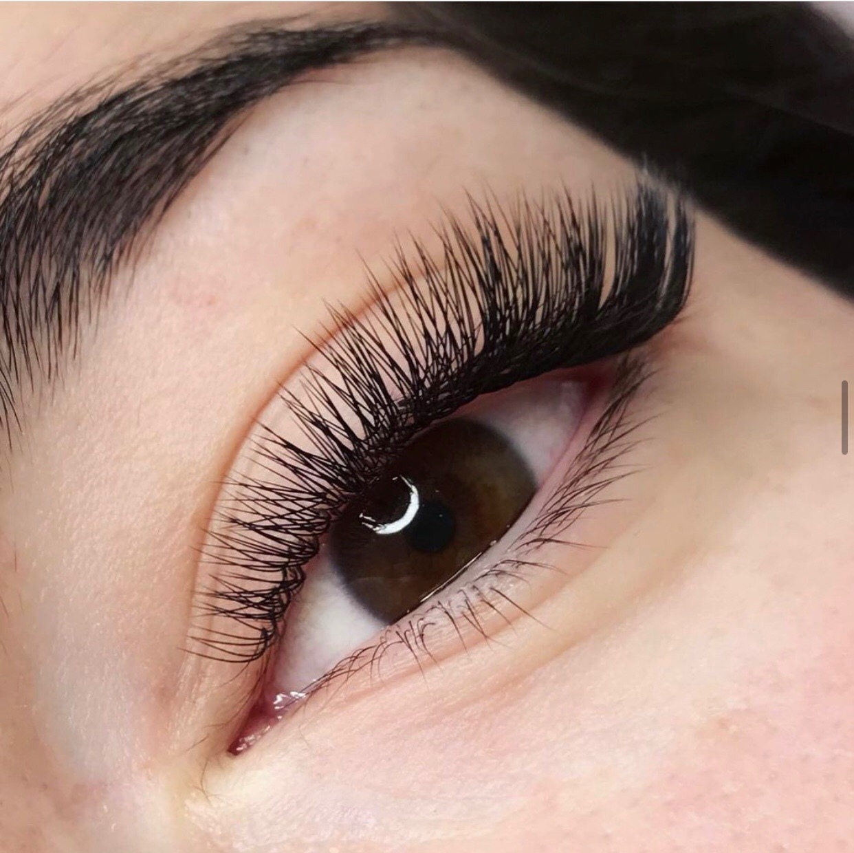 lashes.spb