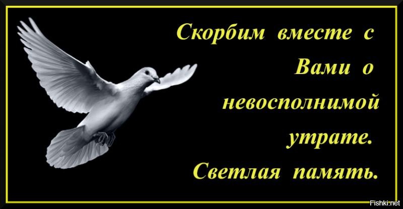 Скорбим и соболезнуем вместе с вами крокус. Скорбим вместе с вами. Помним скорбим вместе с вами. Соболезнуем и скорбим вместе с вами.