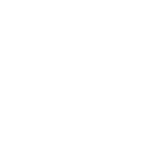 website icon