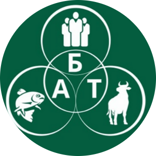 Company