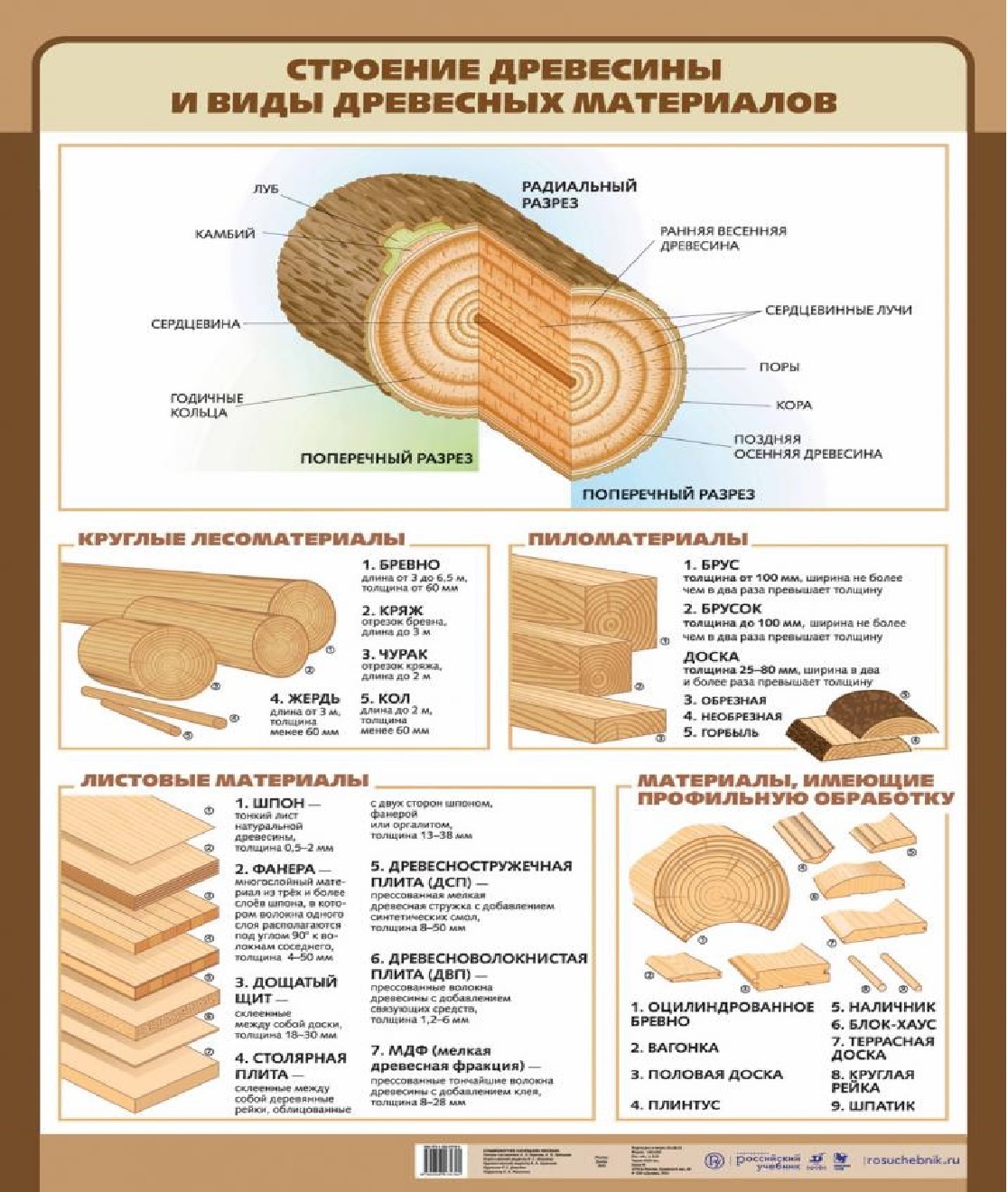 Строение древесины и породы древесины