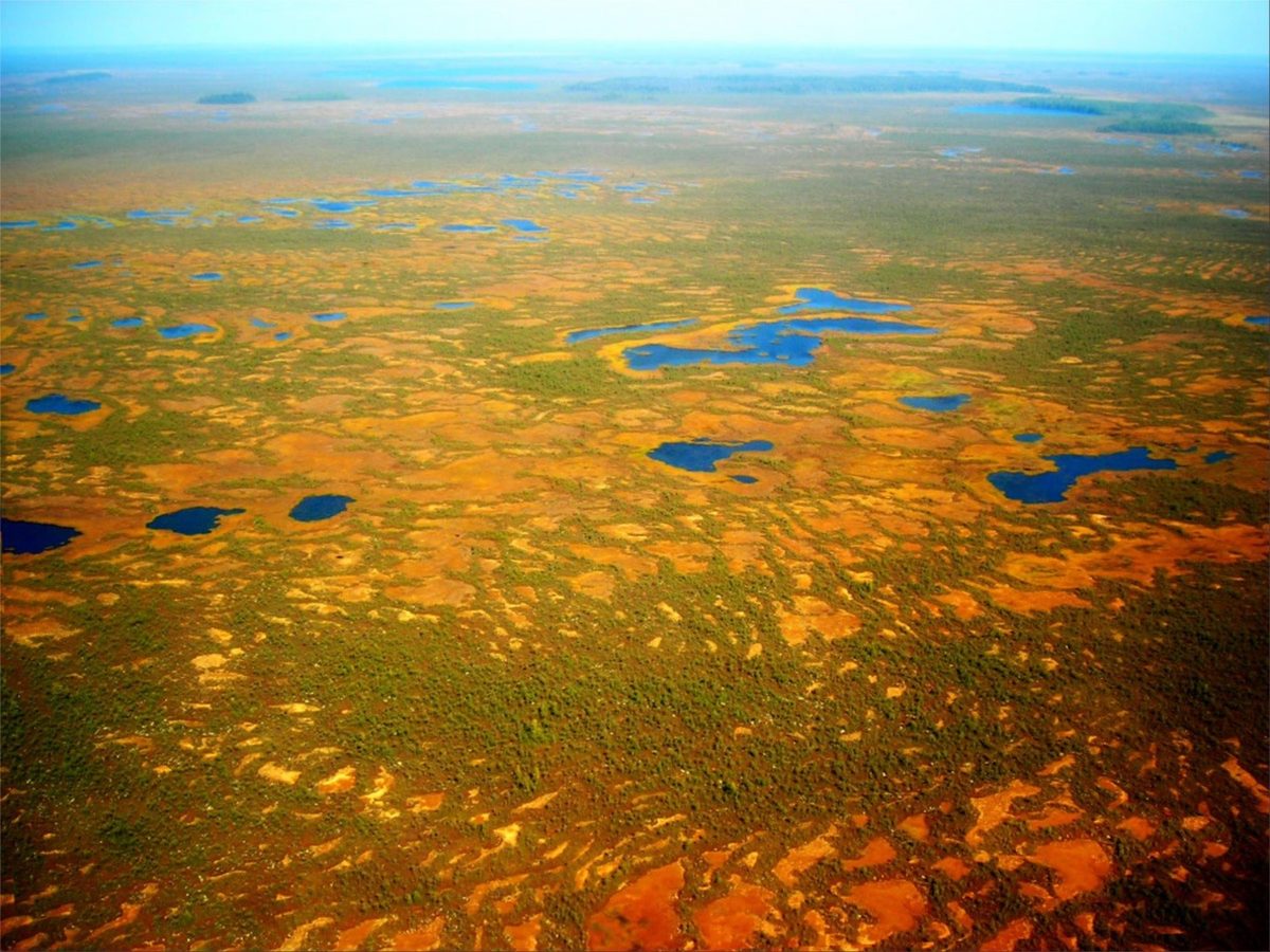 Болото с высоты. Васюганское болото. Западно Сибирская равнина Васюганское болото. Васюганские болота в Новосибирской области. Томск Васюганское болото.