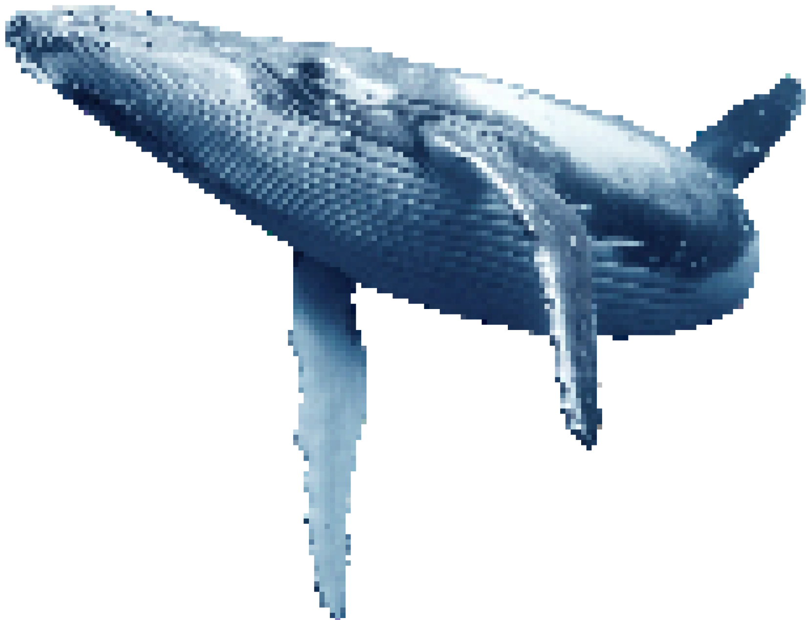 СПАСТИ КИТА