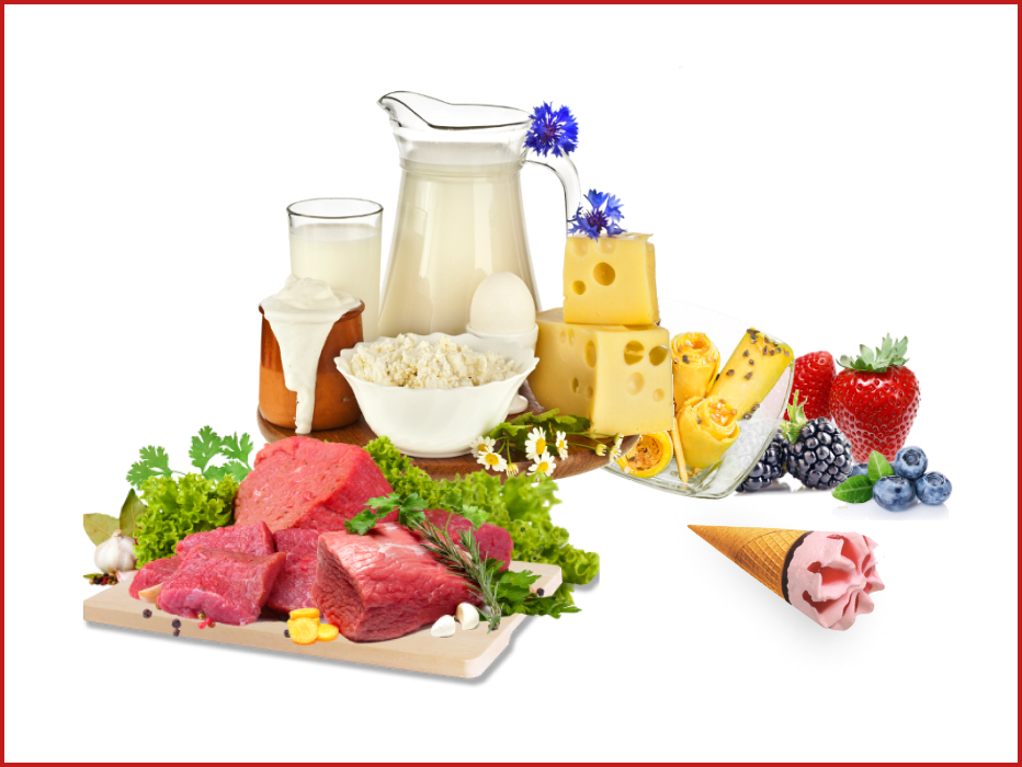 Перевозка и доставка продуктов