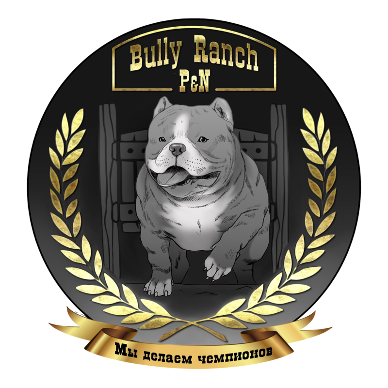 Питомник Американский булли Bully Ranch P&N