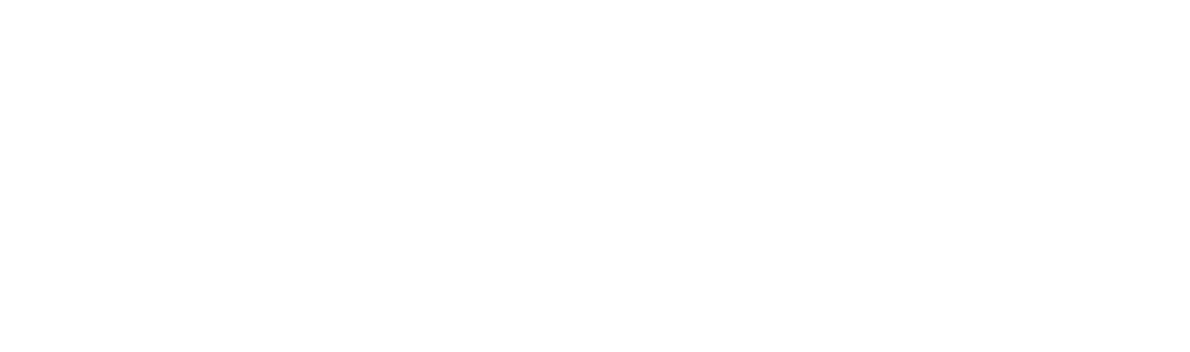  Voyageur 