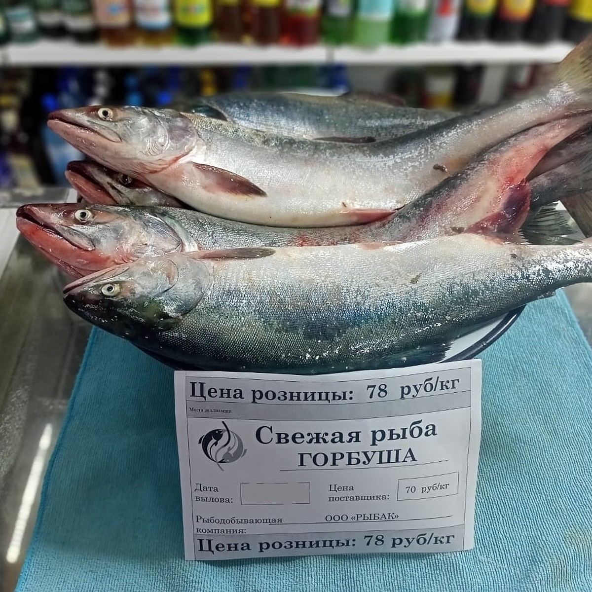 Оформить кета в южную