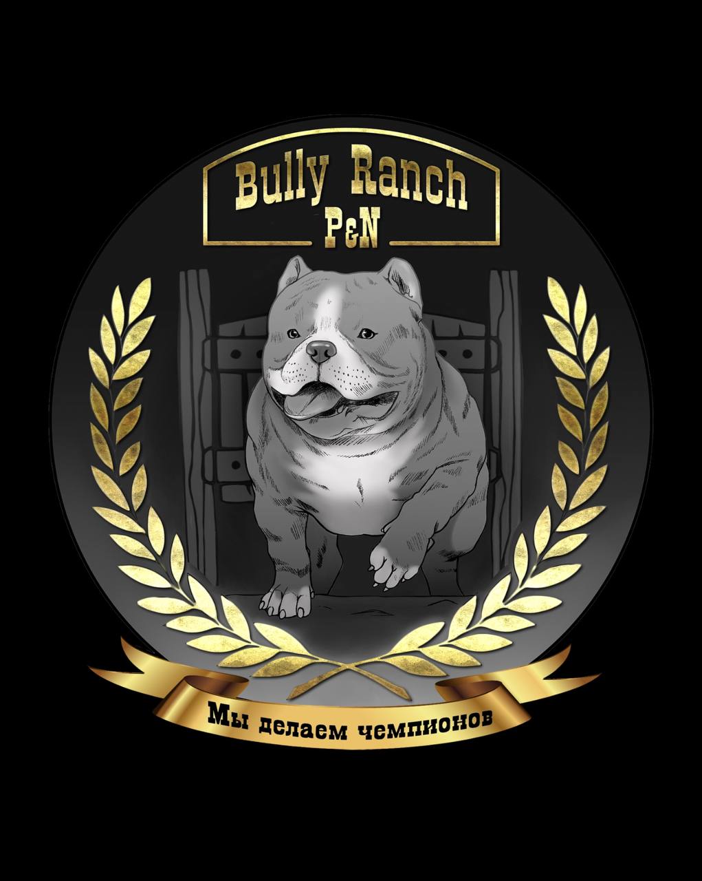 Питомник Американский булли Bully Ranch P&N