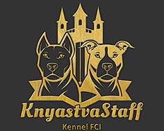 z&nbsp; knyastva staff