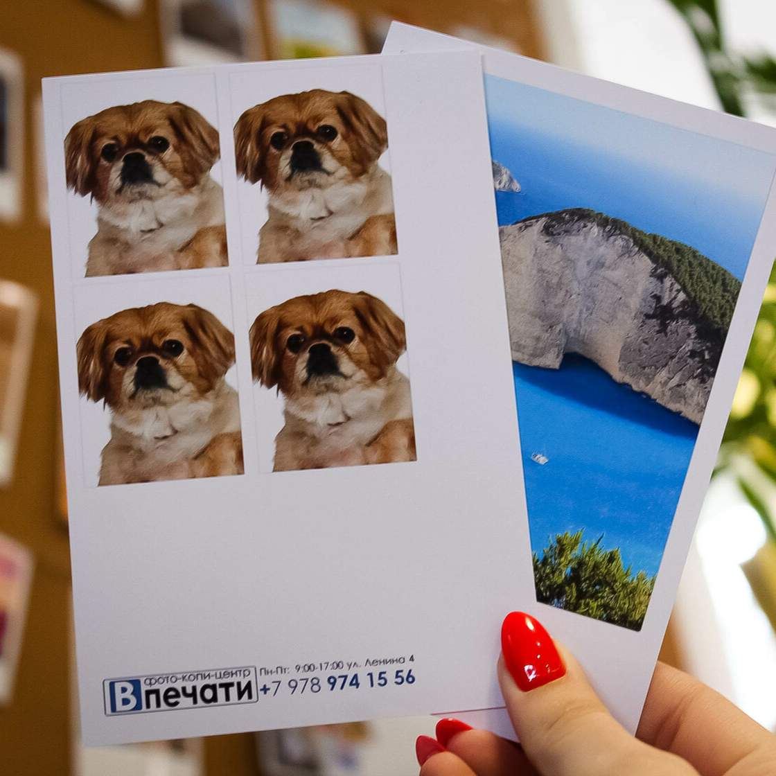 Фото на документы Джанкой