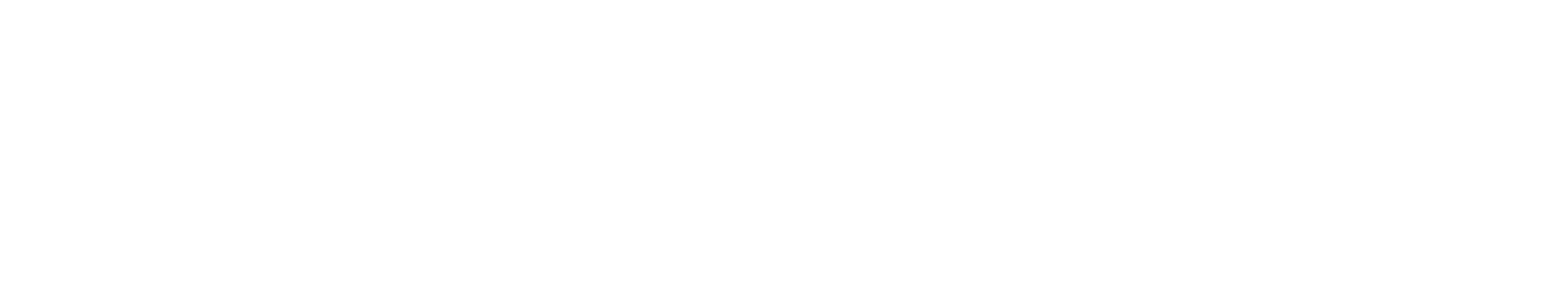 HooliganZ