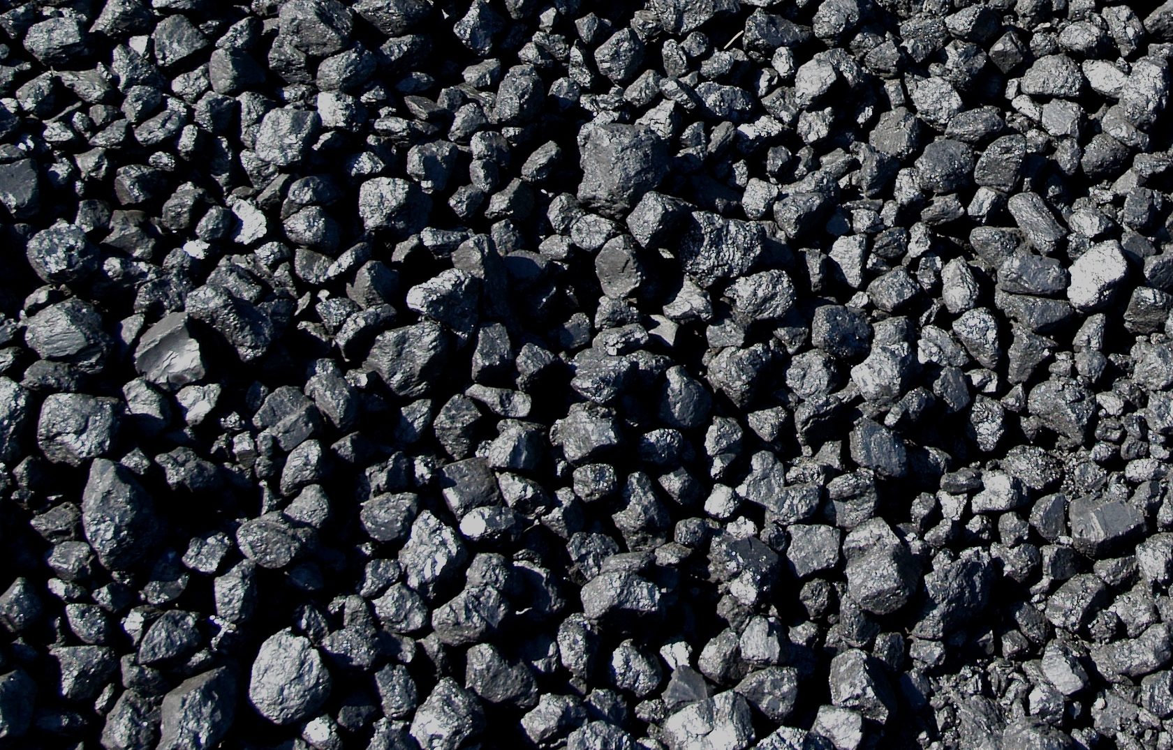 Steam coal price фото 20