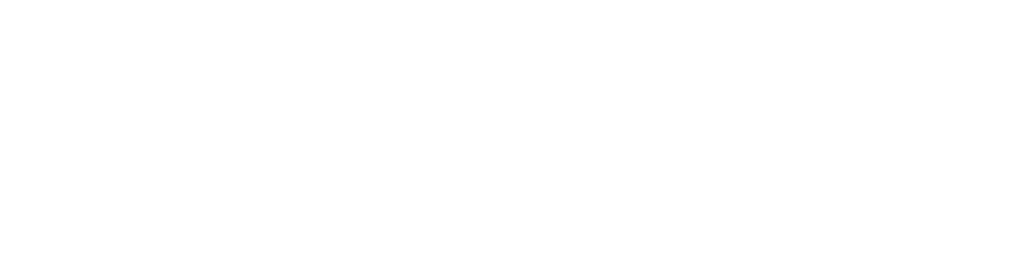 Lighthouse Consulting