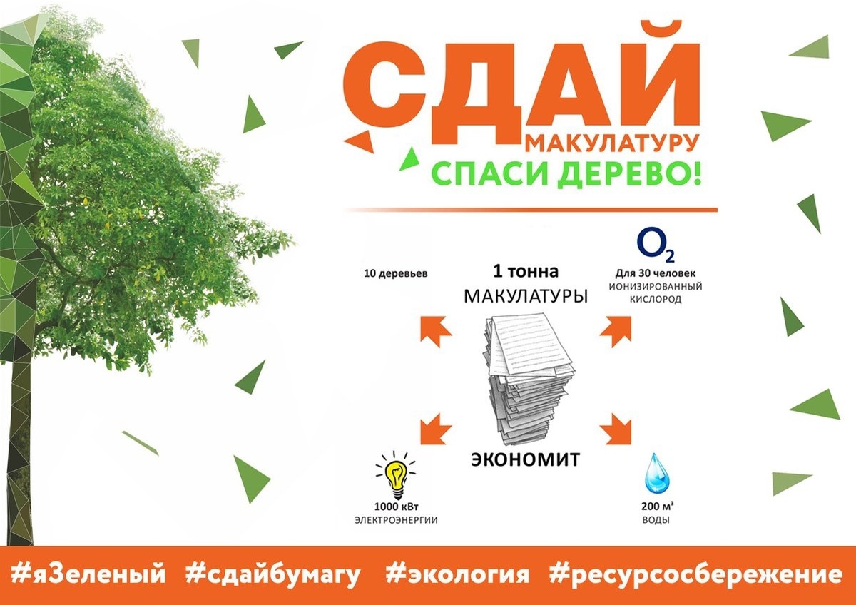 Рисунок сдай макулатуру спаси дерево