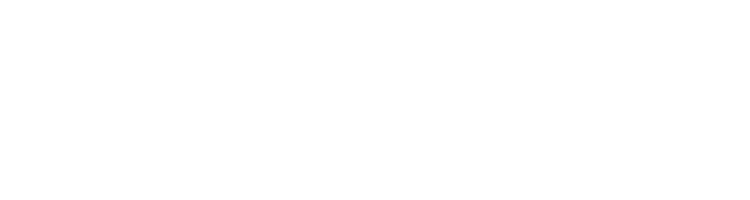 Expert BOOST