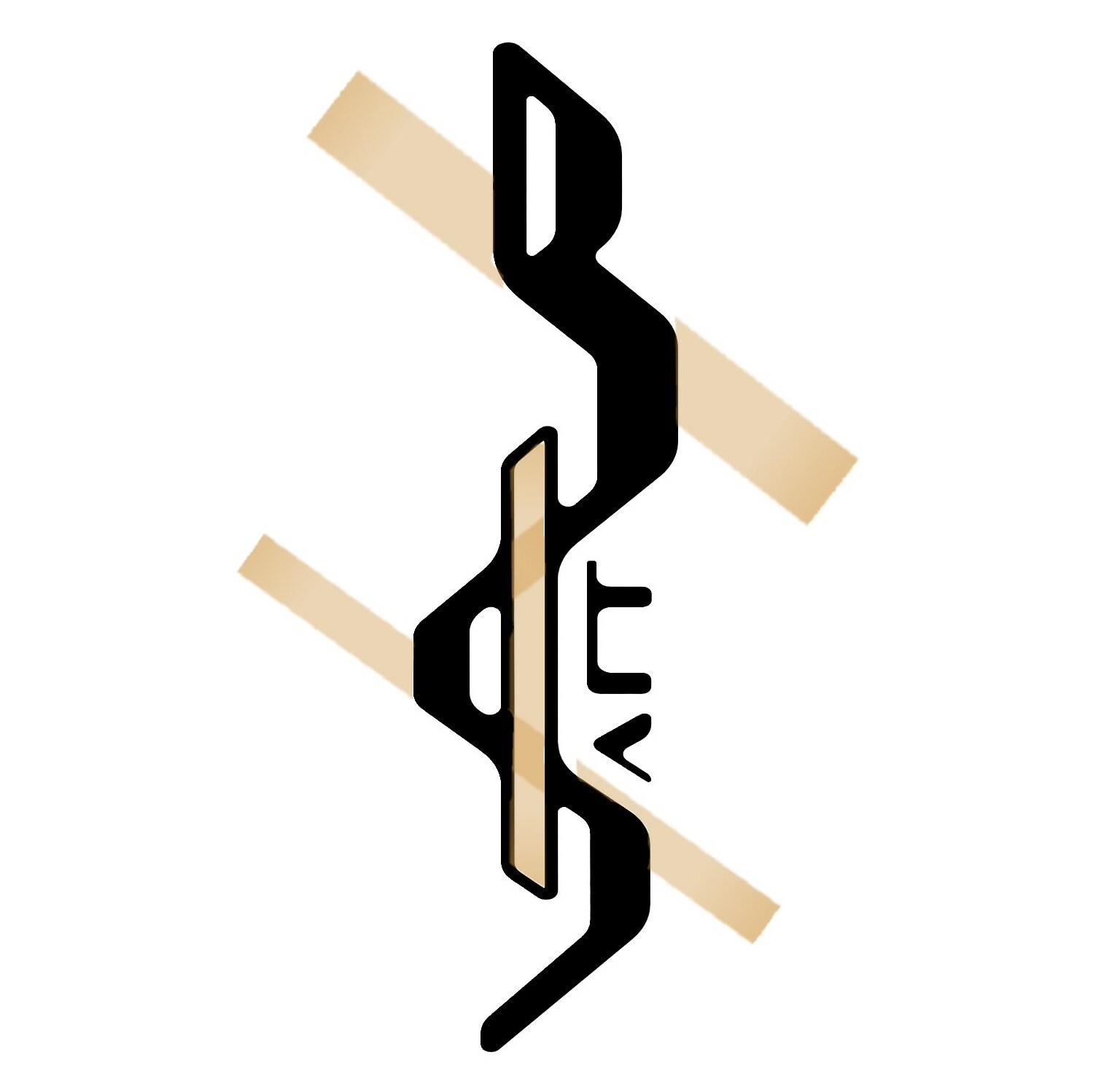BS | Artist